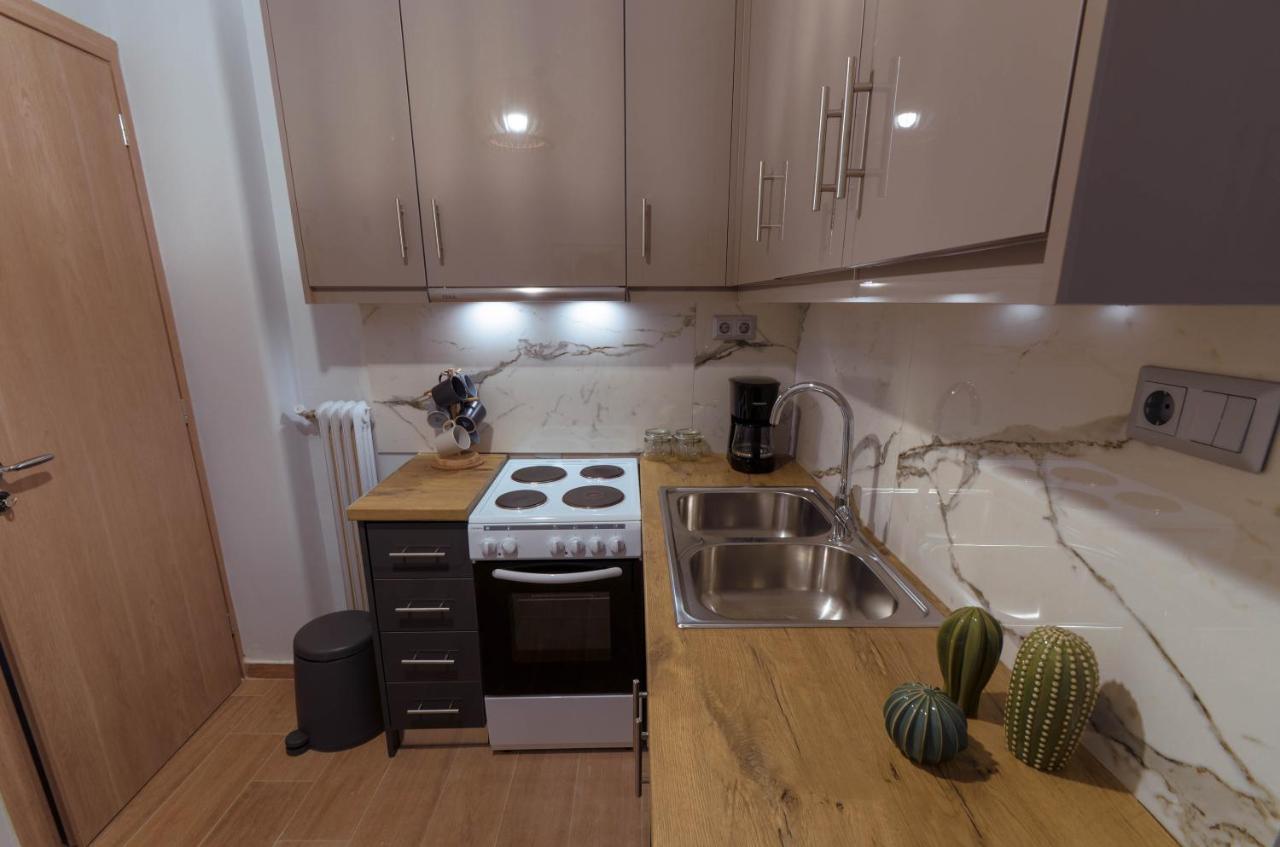 Adorable 2 Bedroom Apartment Close To Ancient Athens City Center Exteriör bild